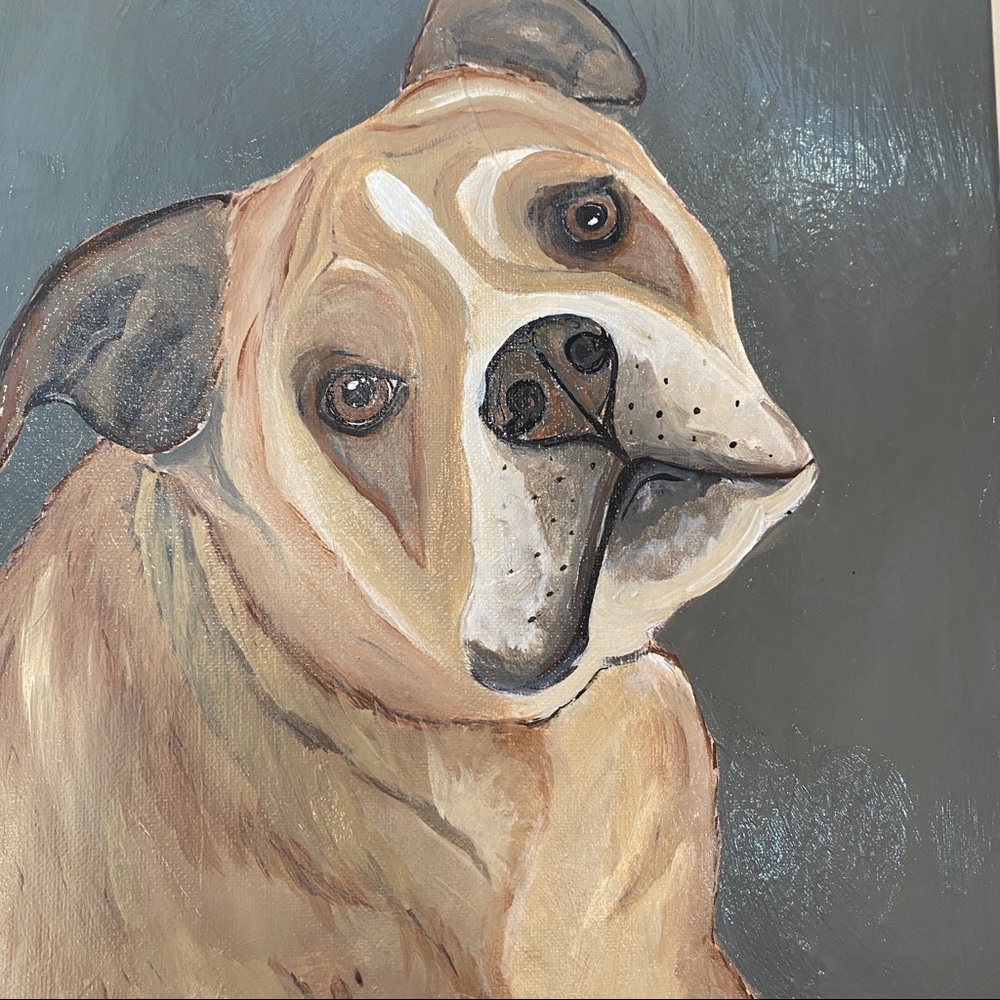 RIKKISRATPACK portrait of Darla the English Bulldog